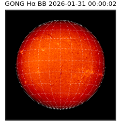 gong - 2026-01-31T00:00:02