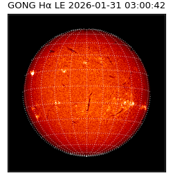 gong - 2026-01-31T03:00:42