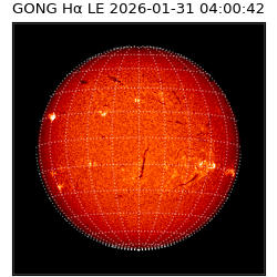gong - 2026-01-31T04:00:42