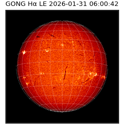 gong - 2026-01-31T06:00:42