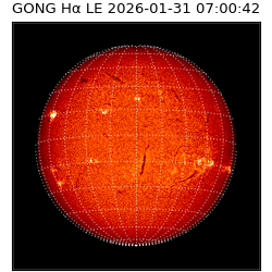 gong - 2026-01-31T07:00:42