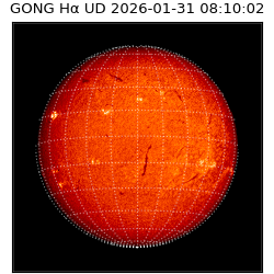 gong - 2026-01-31T08:10:02