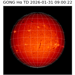 gong - 2026-01-31T09:00:22