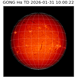 gong - 2026-01-31T10:00:22