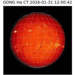 gong - 2026-01-31T12:00:42