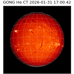 gong - 2026-01-31T17:00:42