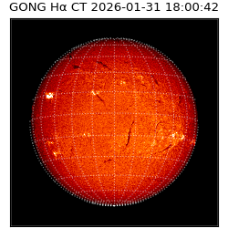 gong - 2026-01-31T18:00:42