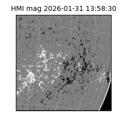 shmi - 2026-01-31T13:58:30.600000