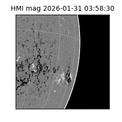 shmi - 2026-01-31T03:58:30.700000