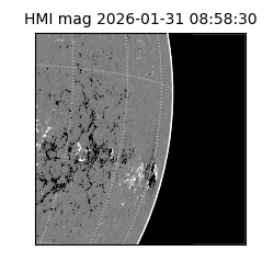 shmi - 2026-01-31T08:58:30.700000