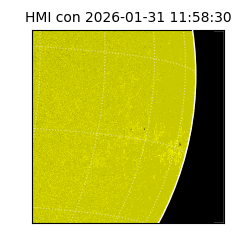 shmi - 2026-01-31T11:58:30.700000