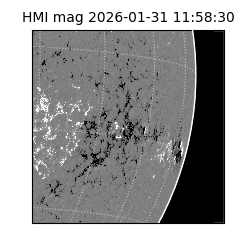 shmi - 2026-01-31T11:58:30.700000