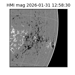 shmi - 2026-01-31T12:58:30.600000