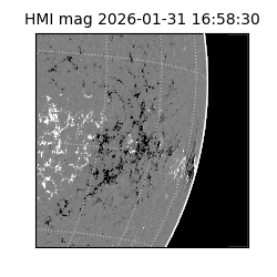 shmi - 2026-01-31T16:58:30.500000