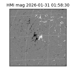 shmi - 2026-01-31T01:58:30.600000