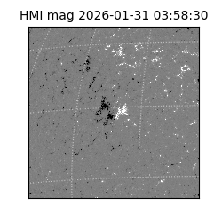 shmi - 2026-01-31T03:58:30.700000