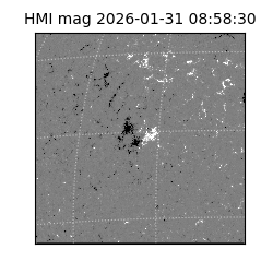 shmi - 2026-01-31T08:58:30.700000