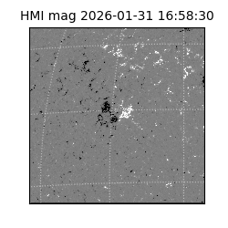 shmi - 2026-01-31T16:58:30.500000