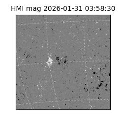 shmi - 2026-01-31T03:58:30.700000