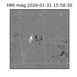 shmi - 2026-01-31T15:58:30.500000