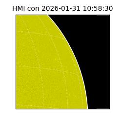 shmi - 2026-01-31T10:58:30.700000