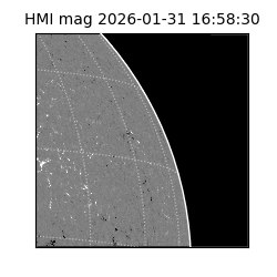 shmi - 2026-01-31T16:58:30.500000