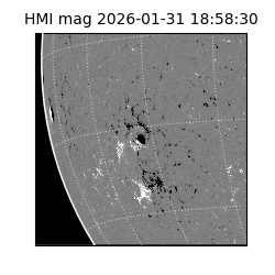 shmi - 2026-01-31T18:58:30.500000