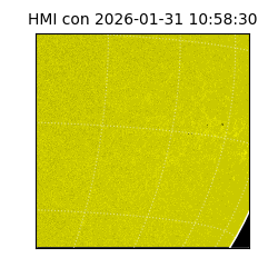 shmi - 2026-01-31T10:58:30.700000