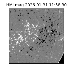 shmi - 2026-01-31T11:58:30.700000