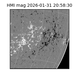 shmi - 2026-01-31T20:58:30.500000