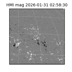 shmi - 2026-01-31T02:58:30.700000