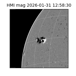 shmi - 2026-01-31T12:58:30.600000