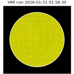 shmi - 2026-01-31T01:58:30.600000