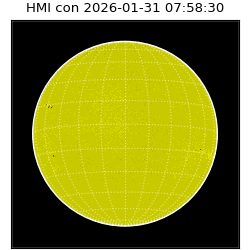 shmi - 2026-01-31T07:58:30.800000