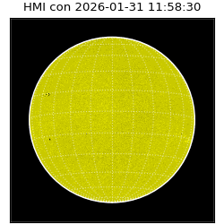 shmi - 2026-01-31T11:58:30.700000