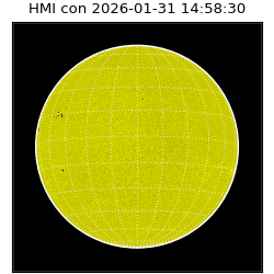 shmi - 2026-01-31T14:58:30.600000