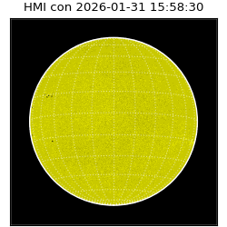shmi - 2026-01-31T15:58:30.500000