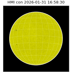 shmi - 2026-01-31T16:58:30.500000