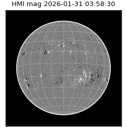 shmi - 2026-01-31T03:58:30.700000