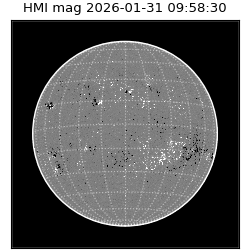 shmi - 2026-01-31T09:58:30.700000