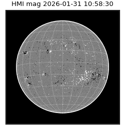 shmi - 2026-01-31T10:58:30.700000