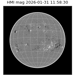 shmi - 2026-01-31T11:58:30.700000