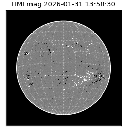 shmi - 2026-01-31T13:58:30.600000