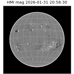shmi - 2026-01-31T20:58:30.500000