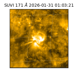 suvi - 2026-01-31T01:03:21.985000