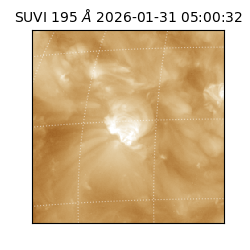 suvi - 2026-01-31T05:00:32.701000