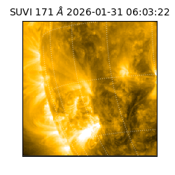 suvi - 2026-01-31T06:03:22.893000