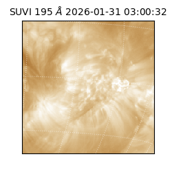 suvi - 2026-01-31T03:00:32.337000