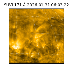 suvi - 2026-01-31T06:03:22.893000