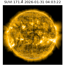 suvi - 2026-01-31T04:03:22.529000